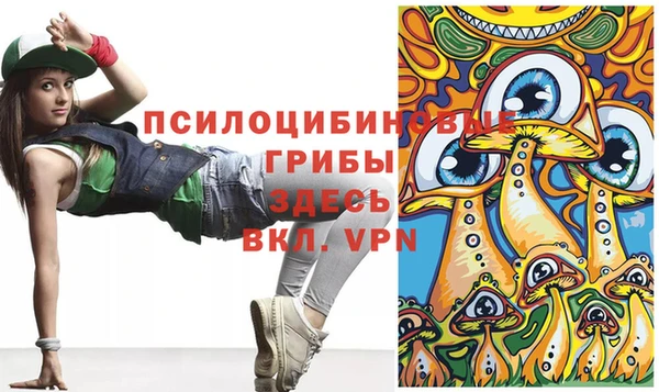 мяу мяу мука Пролетарск
