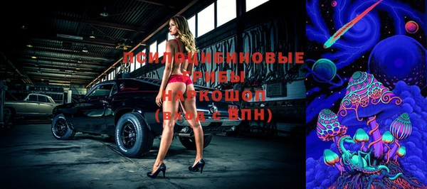 ешки Алексеевка