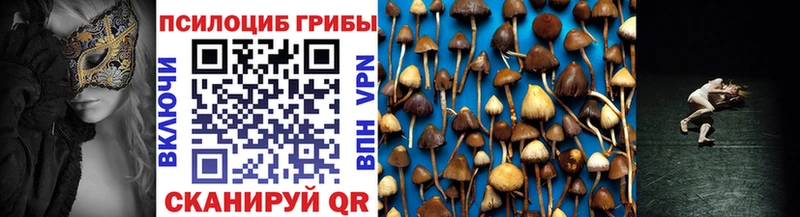 Псилоцибиновые грибы прущие грибы Аша